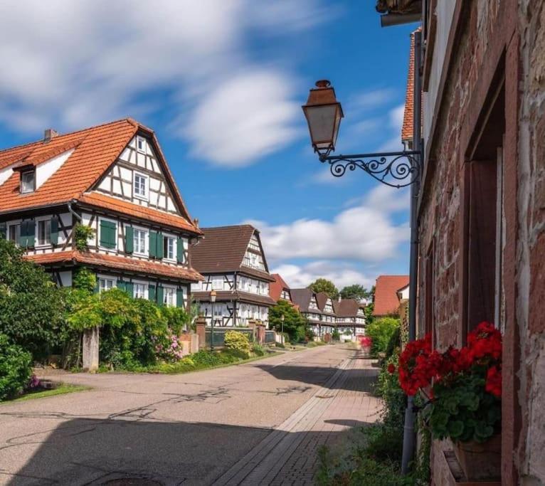 Au Petit Nid De Seebach Esterno foto